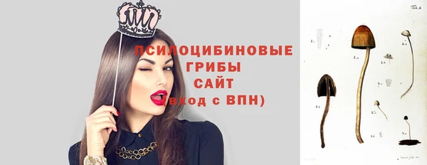 сатива Волоколамск