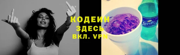 сатива Волоколамск