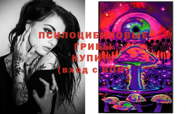 PSILOCYBIN Гусиноозёрск