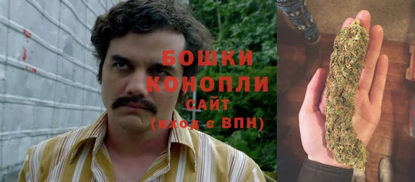 сатива Волоколамск