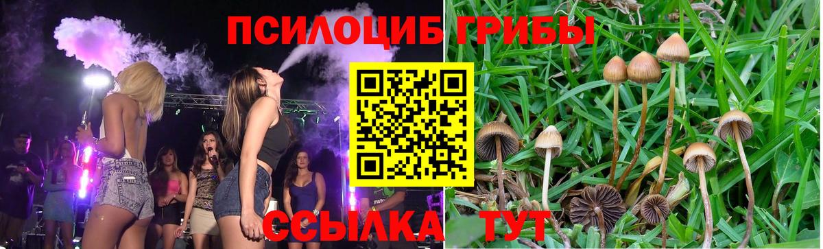Губкин  купить наркоту  Вход с VPN  Галлюциногенные грибы мухоморы 