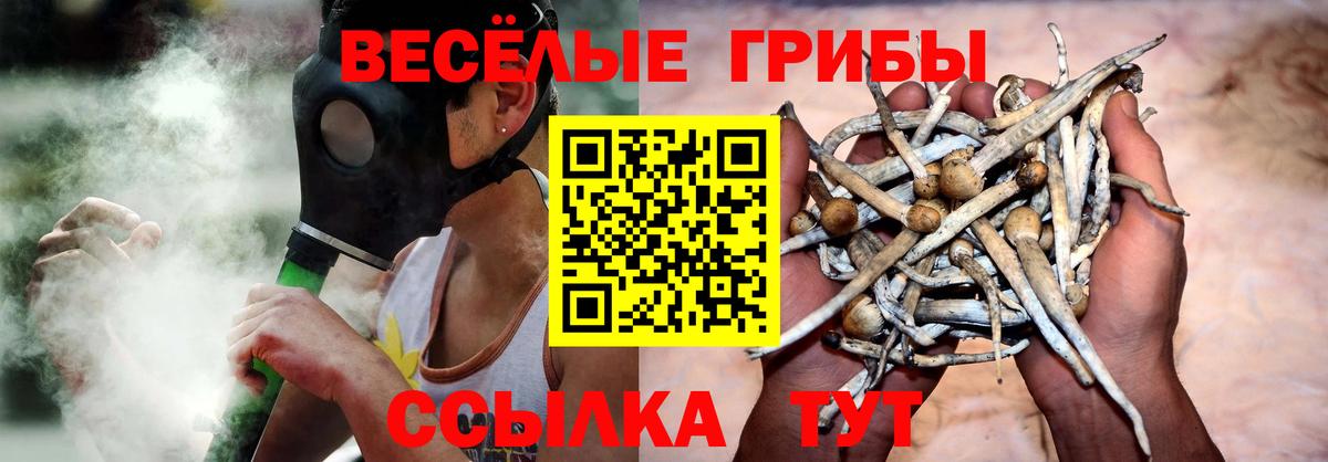 Галлюциногенные грибы Psilocybine cubensis Губкин
