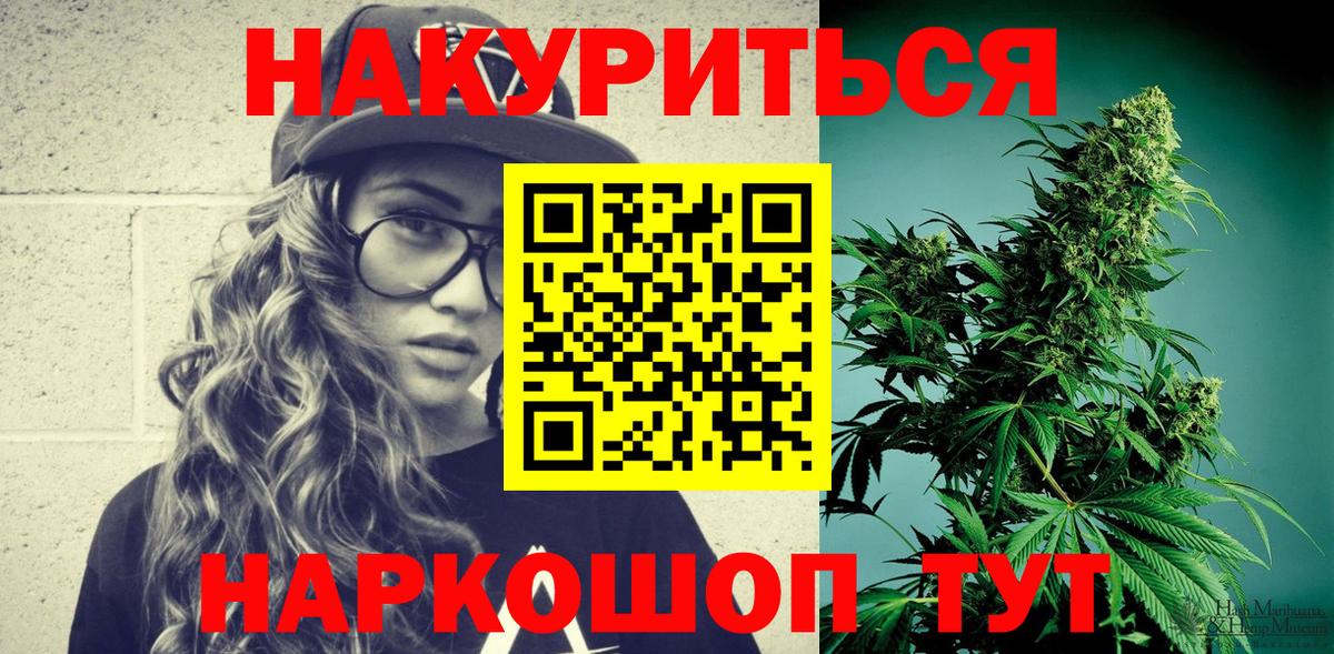 Бошки Шишки план Губкин